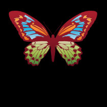 colored butterfly t-shirts by webunicorn colored butterfly t-shirts