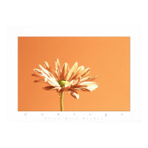 colored flowers courage posters by VisionVault colored flowers courage posters