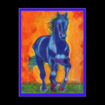 Colored Horse Postcards by RookyStudios Colored Horse Postcards