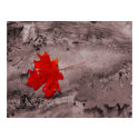 Colored Leaf on Black and White Photo posters