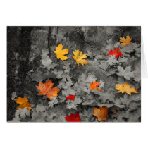 Colored Leaves in Black and White Card by WanderLinArts Colored Leaves in Black and White Card