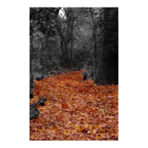 Colored Path posters