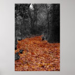 Colored Path Poster