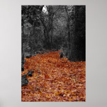Colored Path Poster