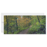 Colored Path Custom Rack Cards
