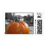 Colored Pumpkin Postage Stamp