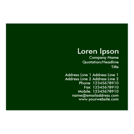 Colored Stripes 01 Business Card Template (back side)