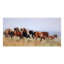 Colored Wild...Painted Free Photo Card