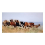 Colored Wild...Painted Free Photo Card