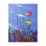 Colorful 3d Angelfish Post Card