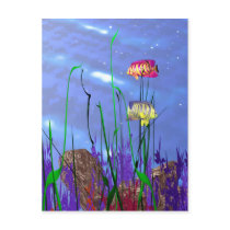 Colorful 3d Angelfish Post Card