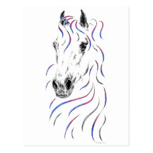 Colorful Arabian Horse Head Post Card
