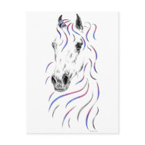 Colorful Arabian Horse Head Post Card