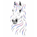 flowing, face, arabian, art, mane, horse, dished,