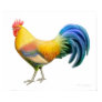 chicken, rooster, poster, print, art, artist, bird