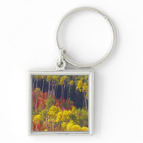 Colorful aspens in Logan Canyon Utah in the Key Chains