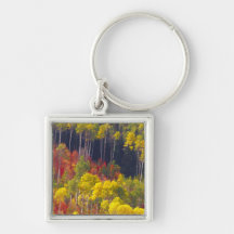 Colorful aspens in Logan Canyon Utah in the Key Chains