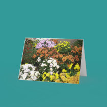Colorful Autumn Flowers cards