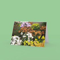 Colorful Autumn Flowers cards
