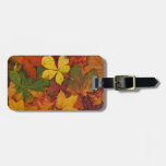 Colorful Autumn Leaves luggage tags
