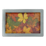 Colorful Autumn Leaves belt buckles