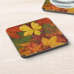 Colorful Autumn Leaves cork coasters