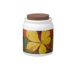 Colorful Autumn Leaves candy jars
