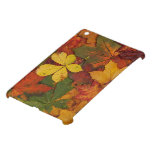 Colorful Autumn Leaves ipad mini cases