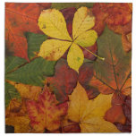 Colorful Autumn Leaves napkins
