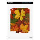 Colorful Autumn Leaves skins
