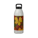 Colorful Autumn Leaves water bottles
