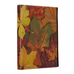 Colorful Autumn Leaves caseable cases