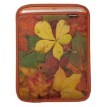 Colorful Autumn Leaves ipad sleeves