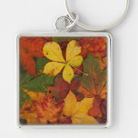 Colorful Autumn Leaves keychains