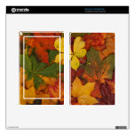Colorful Autumn Leaves skins