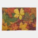 Colorful Autumn Leaves kitchen towels