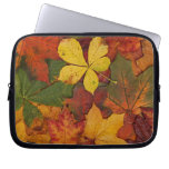 Colorful Autumn Leaves laptop sleeves