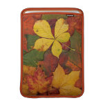 Colorful Autumn Leaves ipad sleeves
