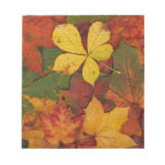 Colorful Autumn Leaves notepads