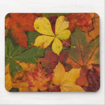 Colorful Autumn Leaves mousepads