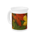 Colorful Autumn Leaves pitchers