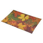 Colorful Autumn Leaves placemats
