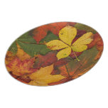 Colorful Autumn Leaves plates