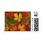 Colorful Autumn Leaves stamps