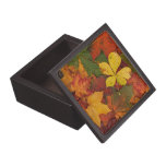 Colorful Autumn Leaves premium gift boxes
