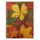 Colorful Autumn Leaves notebooks