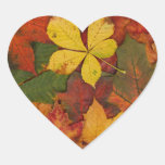 Colorful Autumn Leaves stickers
