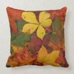 Colorful Autumn Leaves pillows