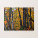 Colorful Autumn Puzzle