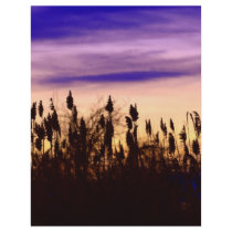 Colorful Autumn Sunset flyers by creative_eye Colorful Autumn Sunset flyers